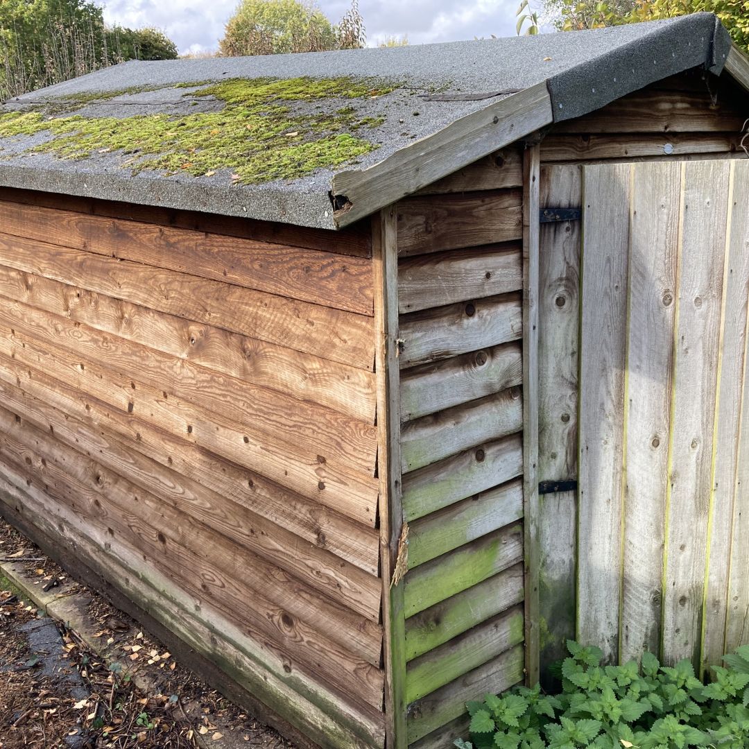 Shed worn felt